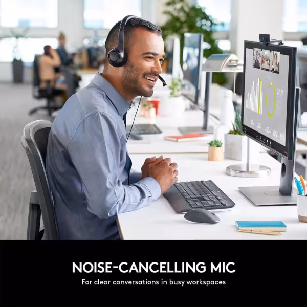Logitech H390 USB Headset with Noise-Cancelling Mic (Black)