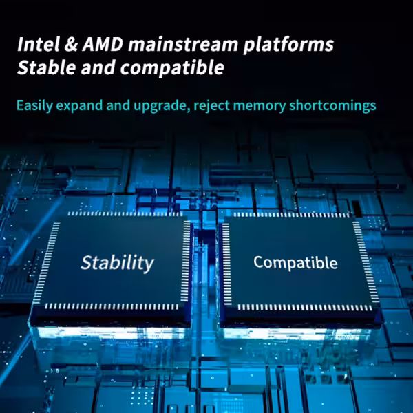Lexar DDR5 16GB UDIMM Memory