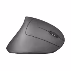Mice and Keyboards