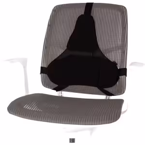 Fellowes Professional Series Ultimate Back Support 8041801