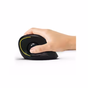 Port Designs Ergonomic Rechargeable Mouse 900719