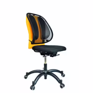 Fellowes Office Suites Mesh Back Support 9191301