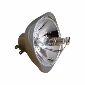 EasyLamp Pro-Gen Projector Lamp with Housing for Hitachi DT00821 (ECL4654PG)