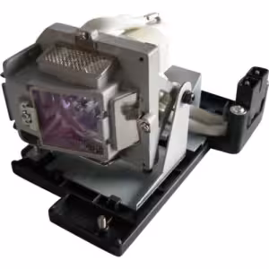 EasyLamp ECL4952CM Replacement Projector Lamp for NEC NP07LP 60002447