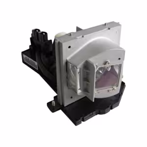 Pro-Gen ECL4959PG Replacement Projector Lamp for NEC NP19LP 60003129