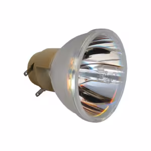 Pro-Gen SP.8KZ01GC01 BLFP230I ECL6181PG Replacement Projector Lamp