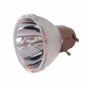 EasyLamp Codalux ECL6279CM Projector Lamp for Epson ELPLP71 V13H010L71 with Housing