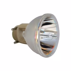 Pro-Gen ECL6509PG (SP.8LG01GC01) Replacement Projector Lamp