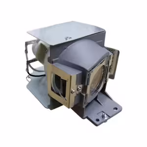 EasyLamp Pro-Gen 1018580 Replacement Projector Lamp with Housing ECL7529PG