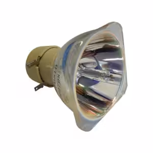 EasyLamp Pro-Gen ECL8000PG Projector Lamp for BenQ 5J.JDM05.001 with Housing