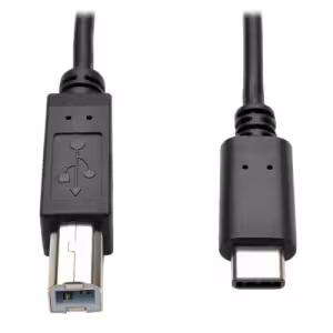 Tripp Lite USB-C to USB 2.0 Cable 1.83m U040-006