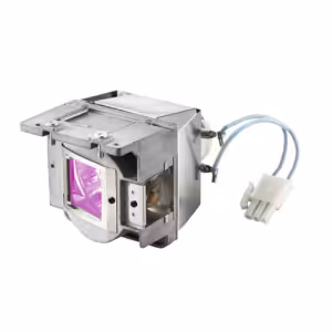Vivitek D2 XX5050000500 Replacement Projector Lamp