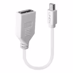 LINDY 41021 0.20m Mini DisplayPort to DisplayPort Adapter Cable