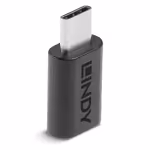 LINDY 41893 USB 3.2 Type C to C Adapter 20Gbps