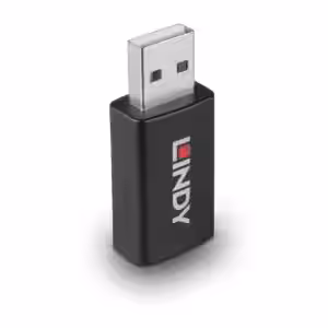 Lindy 71263 USB 2.0 Type A to A Data Blocker with Battery Charging 1.2