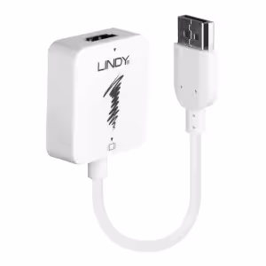 LINDY 38146 HDMI to DisplayPort 4K30Hz Converter