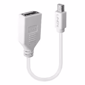 LINDY 41021 0.20m Mini DisplayPort to DisplayPort Adapter Cable