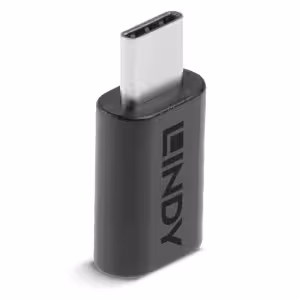 LINDY 41893 USB 3.2 Type C to C Adapter 20Gbps