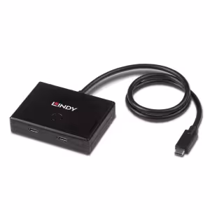 Lindy 43329 2 Port USB 3.2 Gen 1 Type C Bi-Directional Switch 4K60Hz