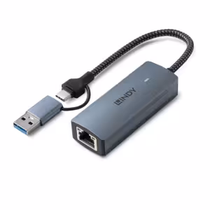 LINDY 43415 USB 3.2 Type C & A to 5G Ethernet Converter